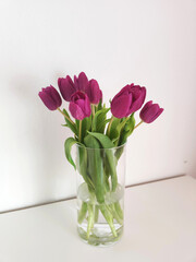Fototapeta premium A simple still life with purple tulips in a transparent vase. Minimalist design against a white background that exudes elegance and freshness