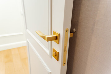 This image features a closeup of a pristine white door, accented by a beautifully designed gold...