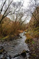 The clear water of a stream flows through the stunning landscape of turenilor gorge in cluj, romania, surrounded by autumnal foliage
