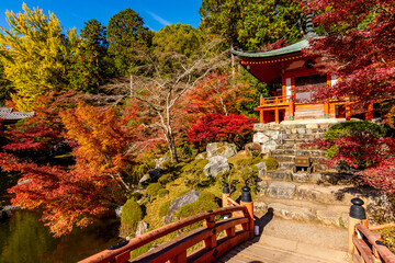 Fototapeta premium Daigo-ji Sambo-in Teien garden in autumn, Kyoto, Japan (translation 