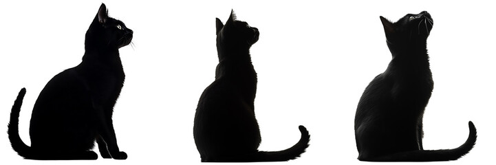 cat vector, collection silhouette vector