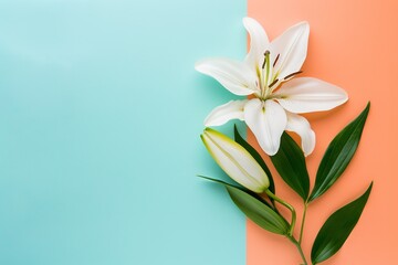 Fototapeta premium White lily blossom with copy space on a coordinating background—a beauty, spa, wellness, and natural cosmetics idea, Generative AI.