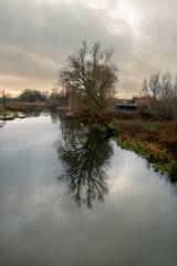 A tree gives a beautiful reflection in a river. A dark sky with clouds in the background. South Scandinavian winter