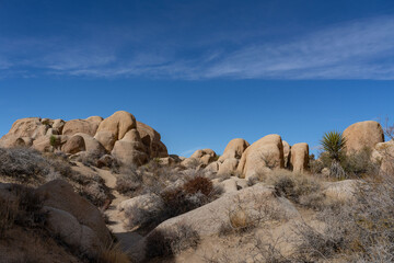 Weathered Granitic Rocks. White Tank Quartz Monzonite. White Tank Campground，Joshua Tree National Park, California geology. Mojave Desert