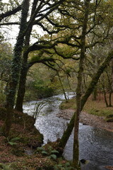 a view of the river Walkham in Devon headed towards double waters where it will meet the river Tavy