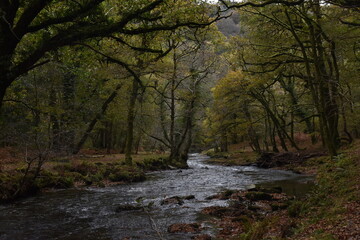 a view of the river Walkham in Devon headed towards double waters where it will meet the river Tavy