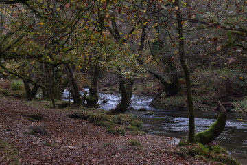 a view of the river Walkham in Devon headed towards double waters where it will meet the river Tavy