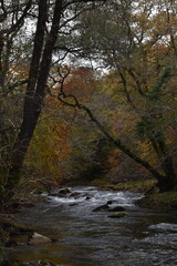 a view of the river Walkham in Devon headed towards double waters where it will meet the river Tavy