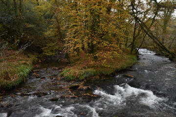 a view of the river Walkham in Devon headed towards double waters where it will meet the river Tavy