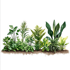 Create a row of plants growing directly in the ground with a transparent background allowing for easy cutout Include a variety of plants such as tall snake plants m