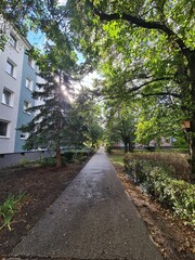 Obraz premium ein grünes Wohngebiet in Berlin Treptow/Köpenick, mit Sonnenschein