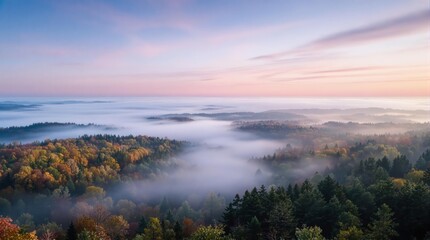 Obraz premium Aerial view of beautiful landscape with forest and sky in the autumn 