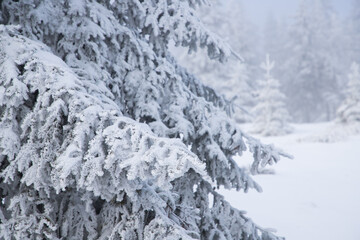 Obraz premium beautiful snow covered mountain landscape in winter