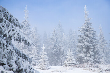 beautiful snow covered mountain landscape in winter