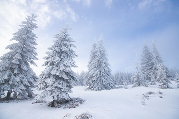 beautiful snow covered mountain landscape in winter