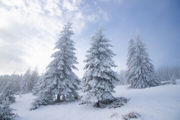 beautiful snow covered mountain landscape in winter
