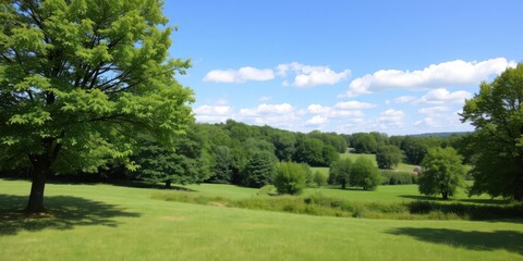 Fototapeta premium Lush green landscape with trees, meadows, and blue sky in summer, nature, sunlight