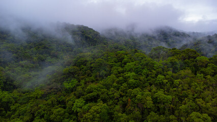 Atlantic Rainforest clouds