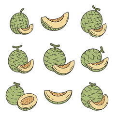 Melon Fruit Doodle Style Illustration