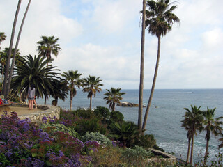Fototapeta premium Spiaggia con palme