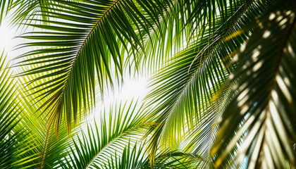 Fototapeta premium Tropical Green Palm Leaves with Vibrant Tones. A vivid composition of green palm leaves with subtle tones.