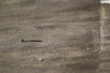 Single Rusty Nail on a Flat Roof