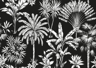 Fototapeta premium Tropical Hawaiian seamless pattern with palm trees. Botanical foliage monochrome background. Linear style. Vector illustration. Black and white hand drawn sketch.
