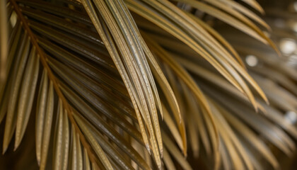 Fototapeta premium lush green palm leaves in a natural tropical environment, enhanced by mocha mousse-inspired tones for a fresh look.