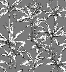 Tropical Hawaiian seamless pattern with palm trees. Botanical foliage monochrome background. Linear style. Vector illustration. Black and white hand drawn sketch.