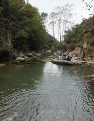 Fototapeta premium river in the forest