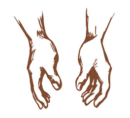 Young human hands. Vector drawing