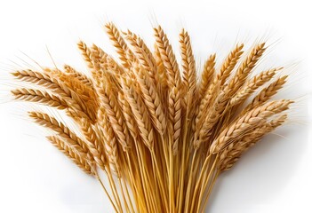 Fototapeta premium Golden Wheat Sheaf: A Harvest Bounty