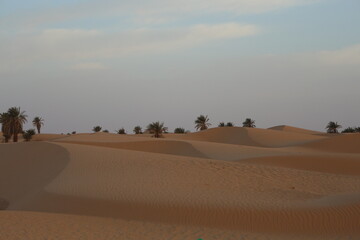 sand dunes in the desert
