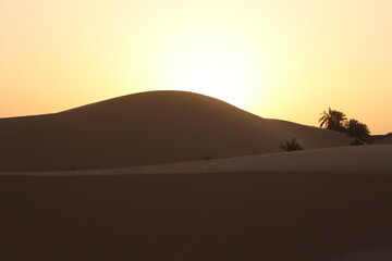sunset in the desert