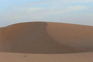 sand dunes in the sahara desert