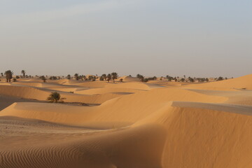 sand dunes in the desert