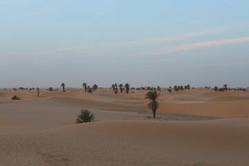 sand dunes in the sahara