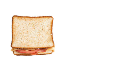 Delicious sandwich with sliced tomatoes and cheese on white bread