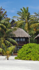 Tropical bungalows on the island of Zanzibar