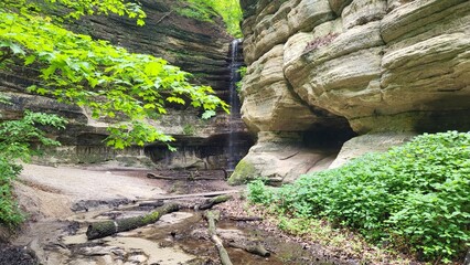 Obraz premium Forest Waterfall