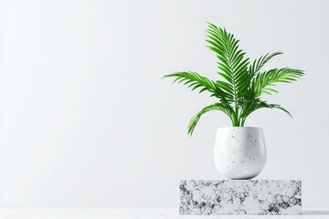 Obraz premium A minimalist indoor plant in a white pot on a marble surface, adding a touch of greenery and elegance to a modern space.