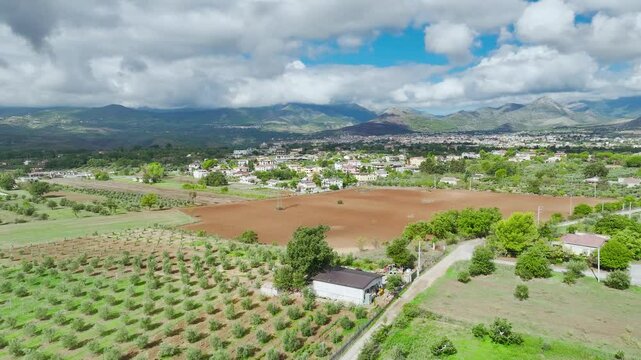 View of Olive groves and fields from a drone over Road E45, Castrovillari, Cosenza, Calabria, Italy, Europe