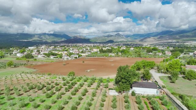 View of Olive groves and fields from a drone over Road E45, Castrovillari, Cosenza, Calabria, Italy, Europe