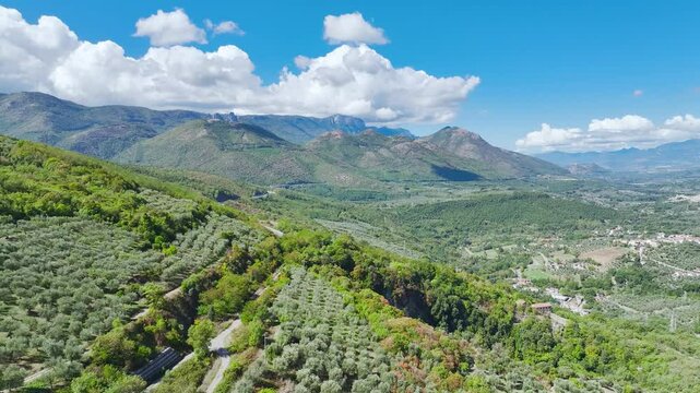 View of Olive groves and fields from a drone over Road E45, Castrovillari, Cosenza, Calabria, Italy, Europe