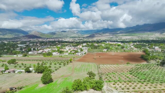 View of Olive groves and fields from a drone over Road E45, Castrovillari, Cosenza, Calabria, Italy, Europe