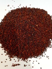 Mustard Green Seeds