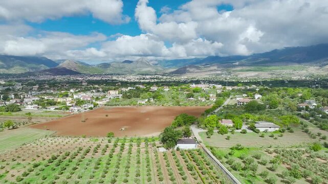 View of Olive groves and fields from a drone over Road E45, Castrovillari, Cosenza, Calabria, Italy, Europe