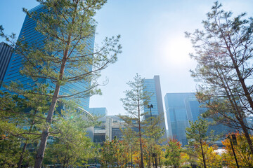 うめきたの風景