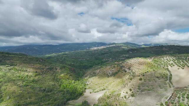 View of Olive groves and fields from a drone over Road E45, Castrovillari, Cosenza, Calabria, Italy, Europe