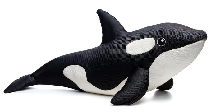 かわいいシャチのぬいぐるみ（cute Orca stuffed animal on white